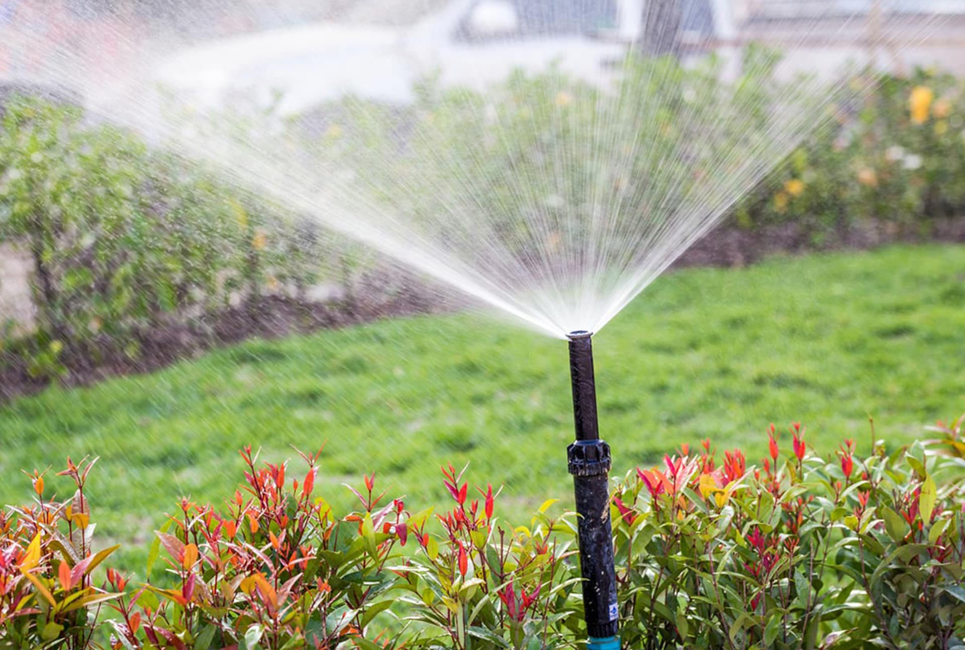 Sprinkler System Installation project 9