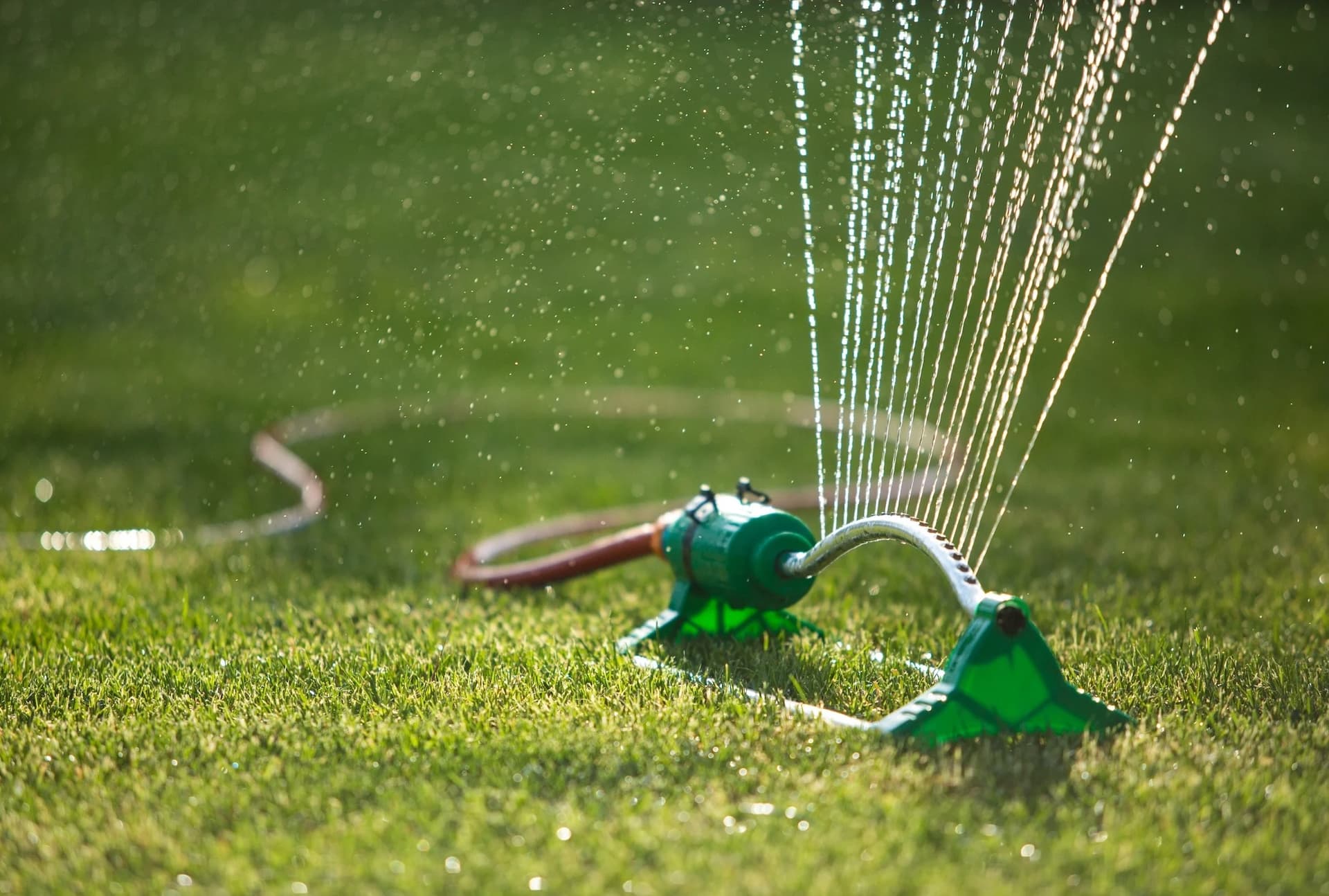 Leaky or Clogged Sprinkler System?