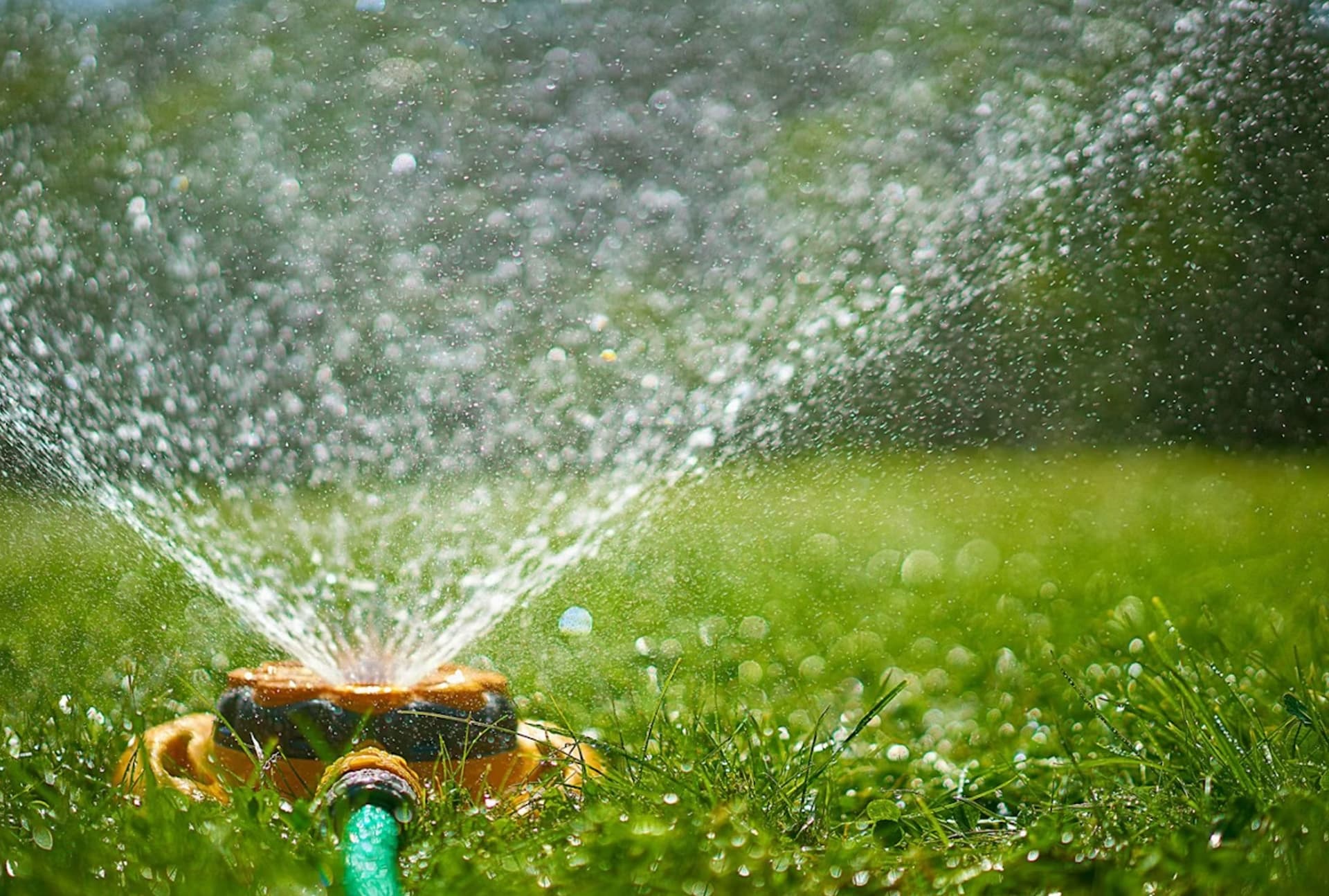 Sprinkler System Installation project 1