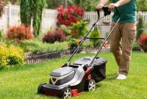 Weed Elimination
