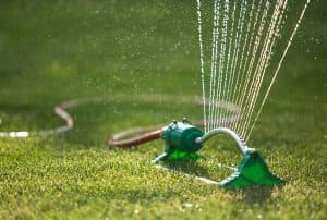 Lawn Health Recovery