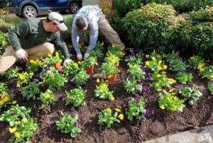Smart Irrigation Install