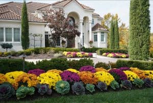 Custom Landscape Design