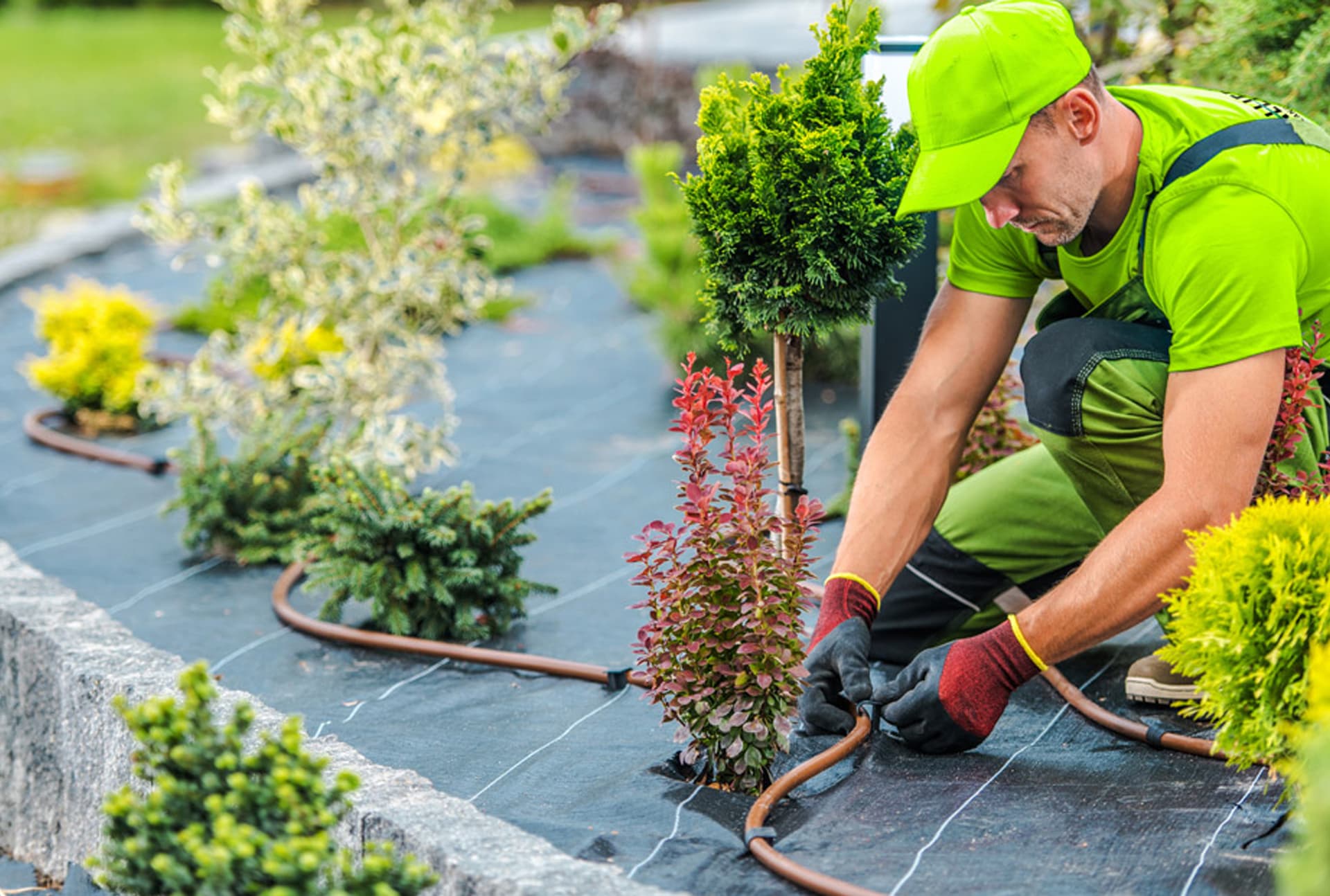 Irrigation System Repair project 1