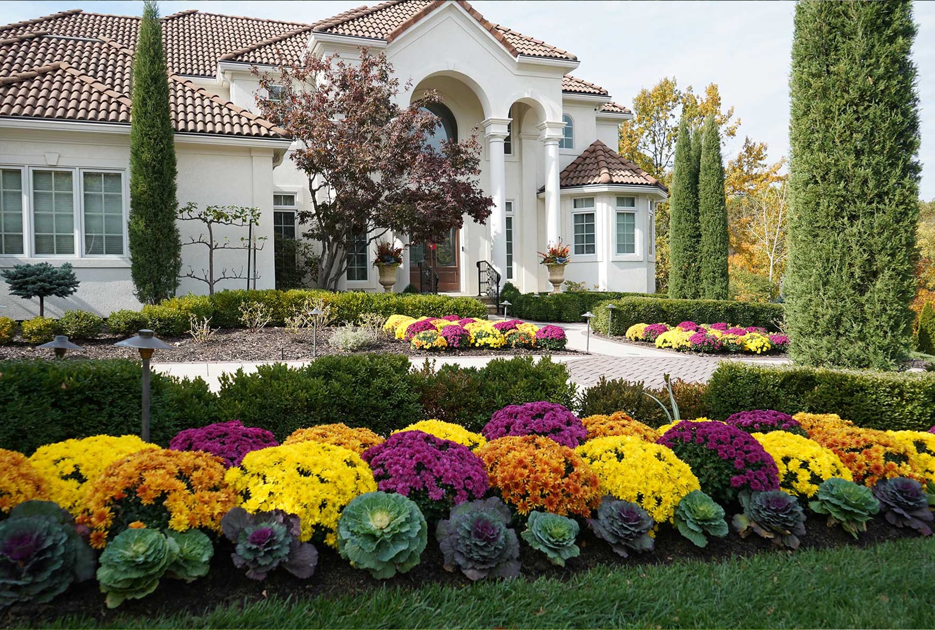 Landscaping Services project 9