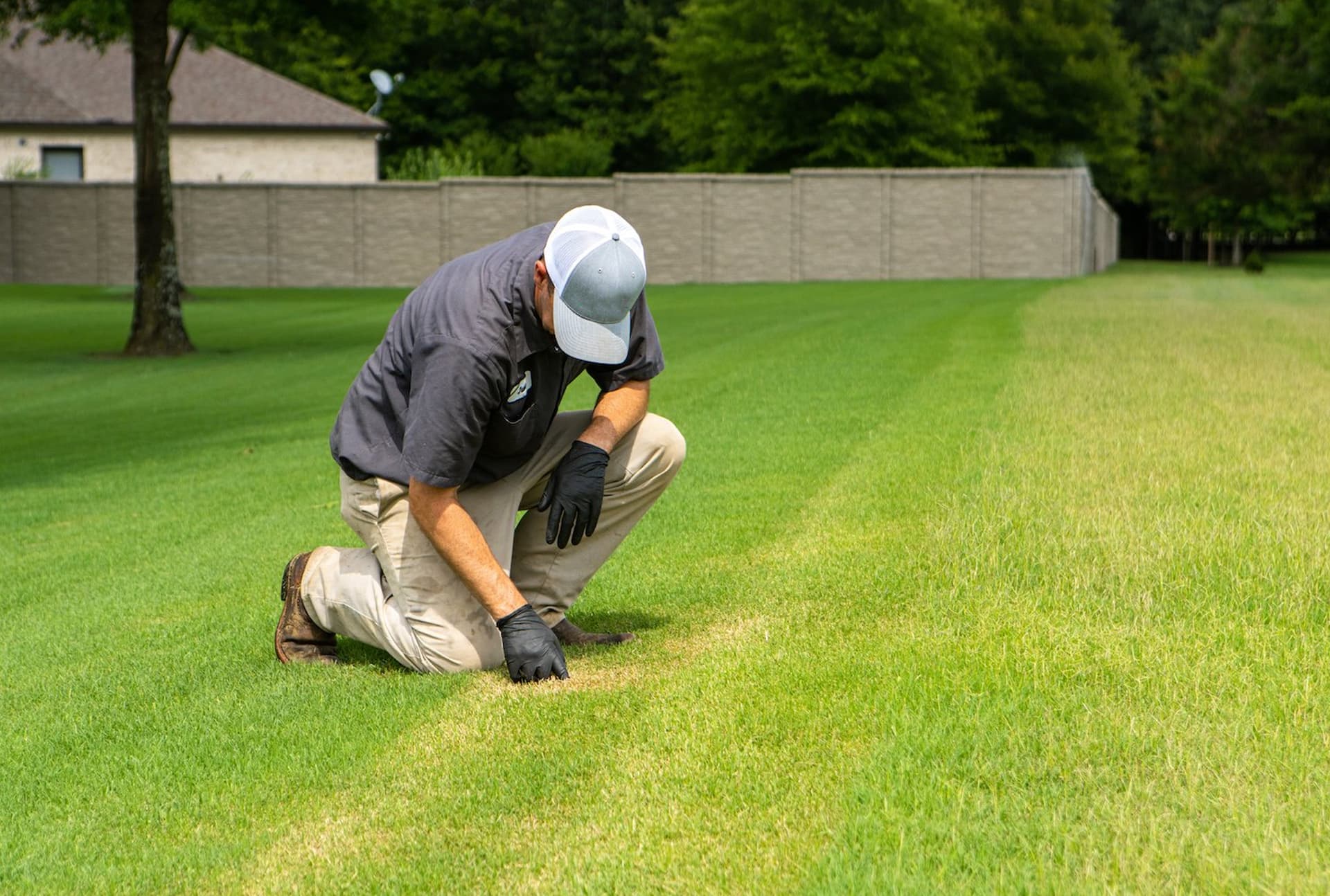 Our Insect & Weed Control Services Include