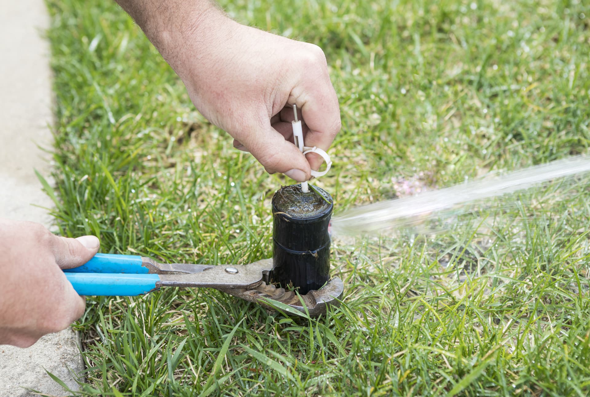 Irrigation System Repair project 6