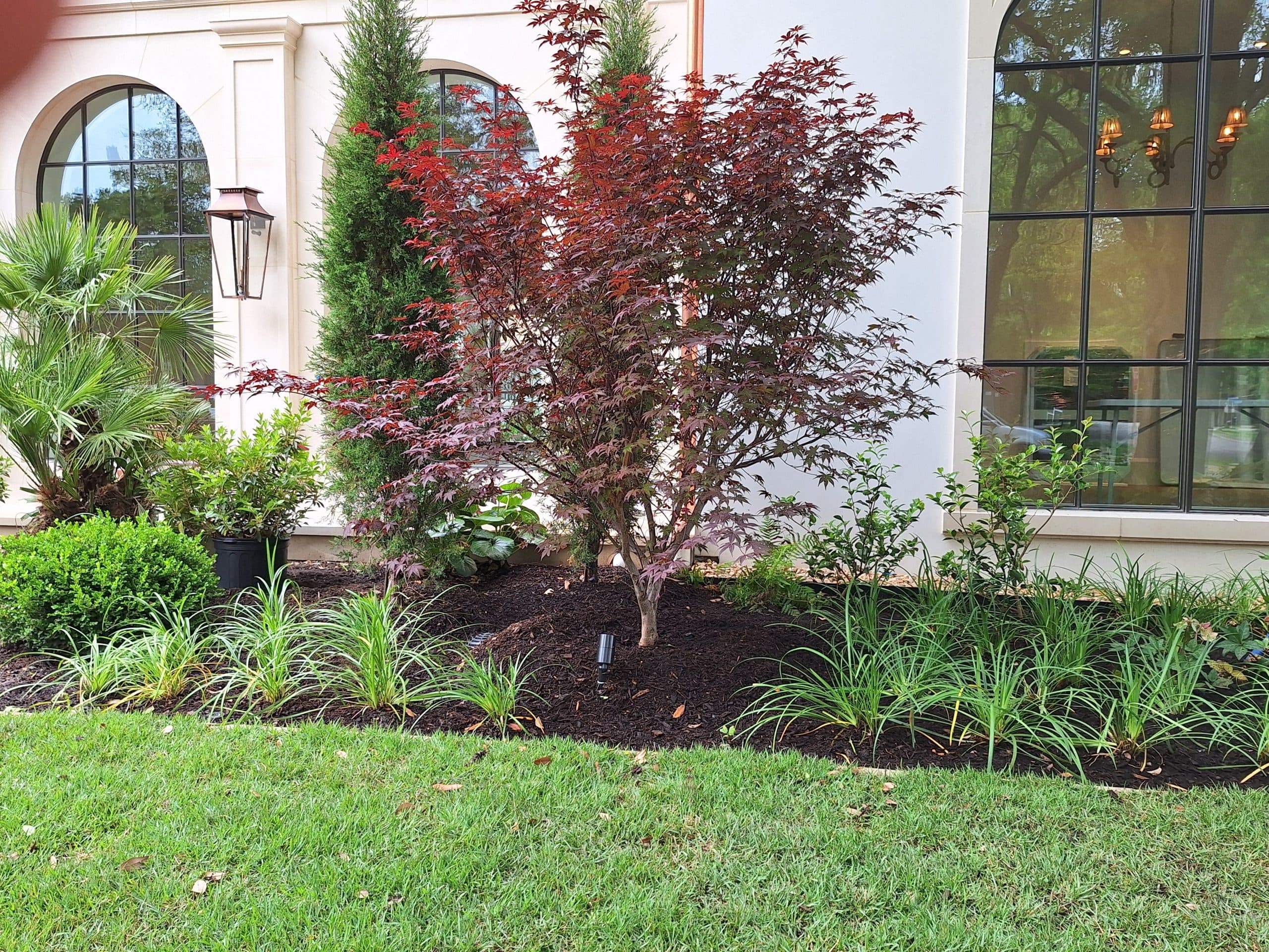 Tree & Plant Health Management project 2