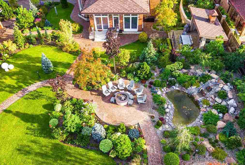 Tree & Plant Health Management
