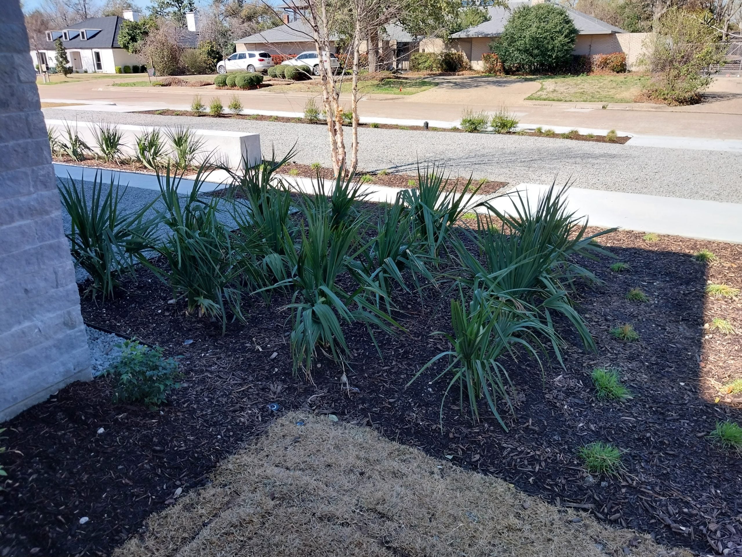 Professional lawn care service