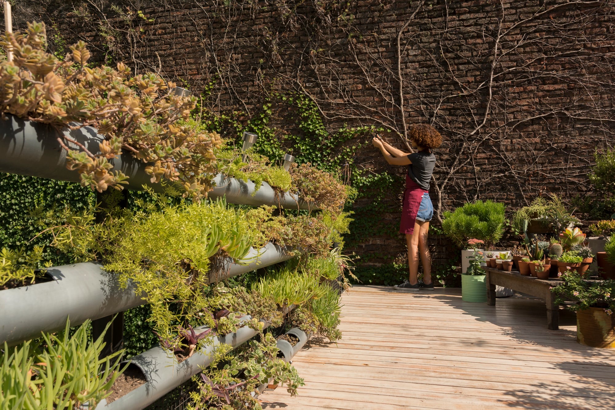 Complete Yard Makeover