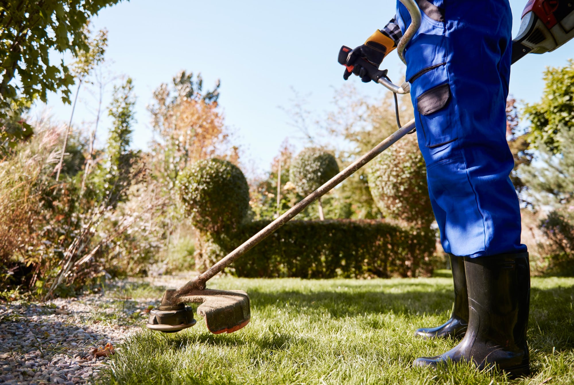 Lawn Health Recovery
