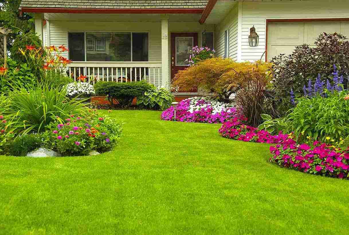 Professional Landscaping Services